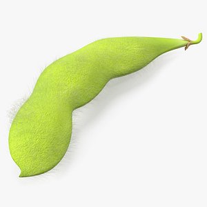 Green Soybean Pod Fur 3D