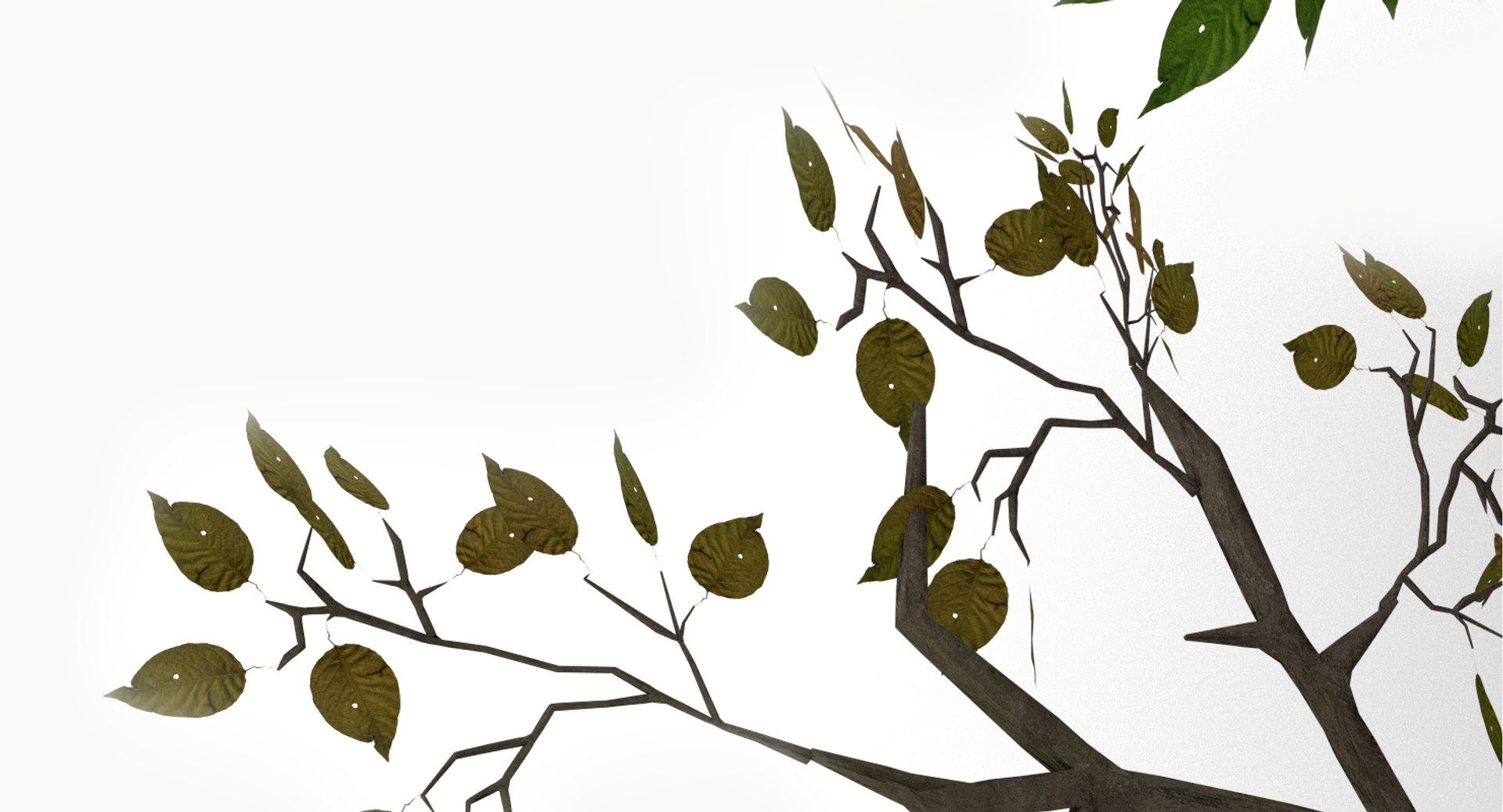 realistic shrub 3d model https://p.turbosquid.com/ts-thumb/lv/KYVYHH/0qIBd96E/5/png/1460085156/1920x1080/fit_q87/79d00f899fd29a0e7bf7c4b5e934f46af75a7f09/5.jpg
