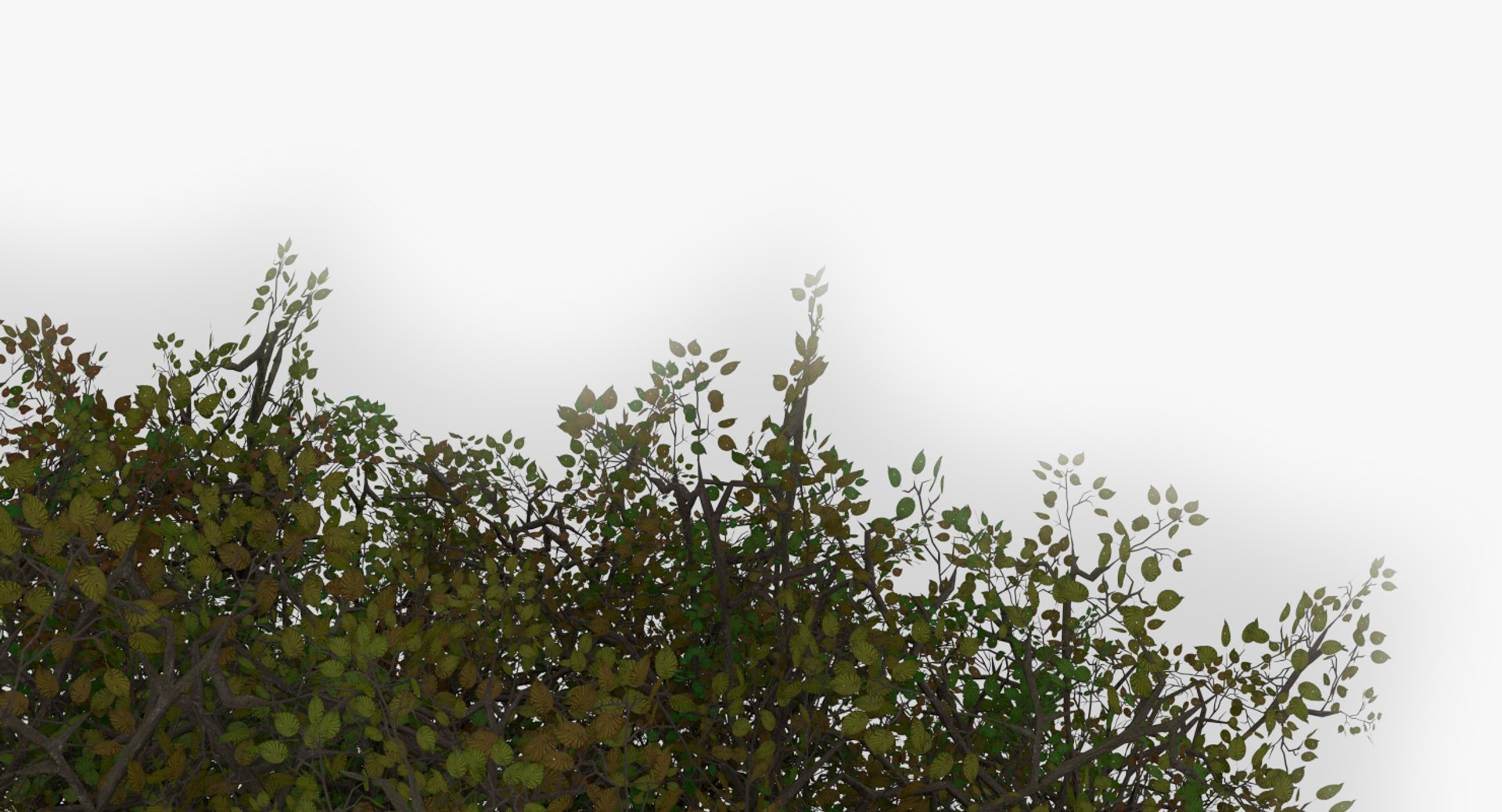 realistic shrub 3d model https://p.turbosquid.com/ts-thumb/lv/KYVYHH/8vWHcHMn/6/png/1460085156/1920x1080/fit_q87/0872e38f3fec1ea20780f0fb5bc3a4e88aab2bfe/6.jpg