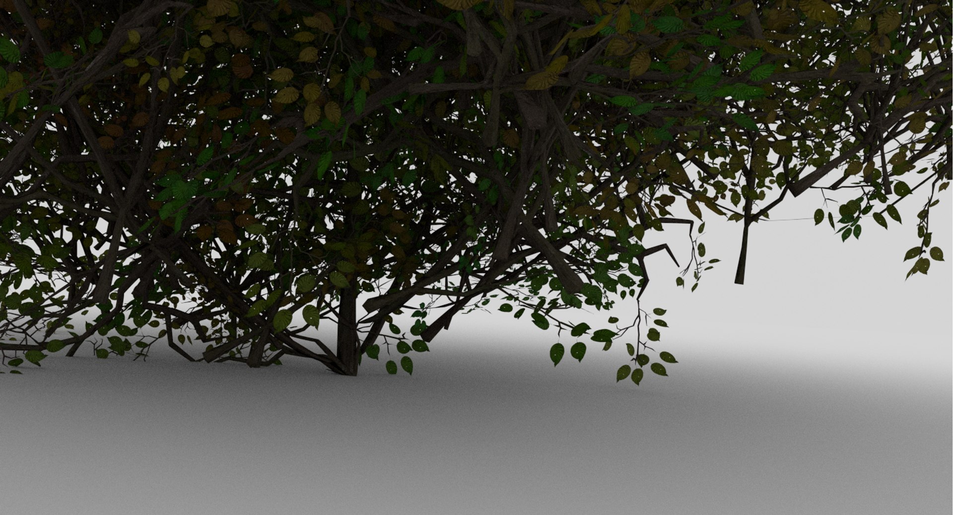 realistic shrub 3d model https://p.turbosquid.com/ts-thumb/lv/KYVYHH/SGnLLSDb/4/png/1460085156/1920x1080/fit_q87/27ad0d9683995aa5b819d9bc012c97915e6175e2/4.jpg