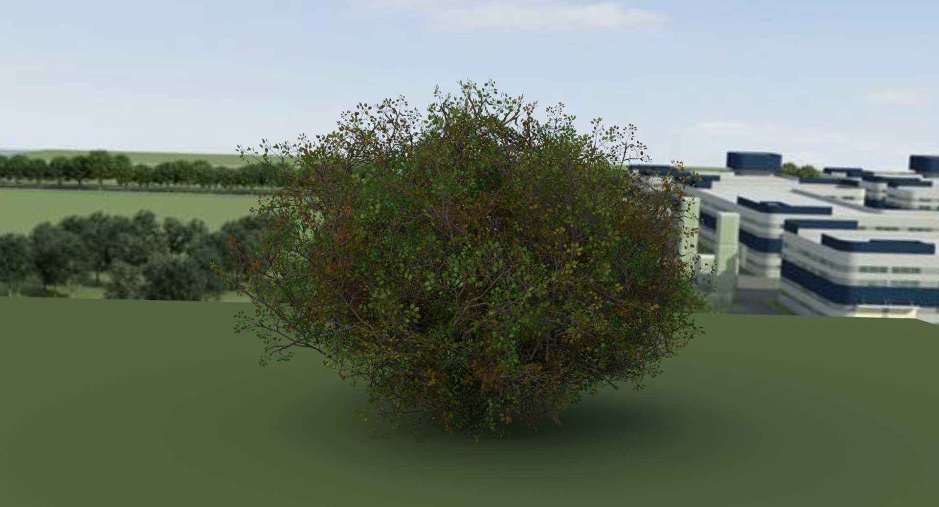 realistic shrub 3d model https://p.turbosquid.com/ts-thumb/lv/KYVYHH/aS117EMF/environmental/png/1460085156/1920x1080/fit_q87/83998ac811d9920ecb31439e65a528d26ac84cb1/environmental.jpg