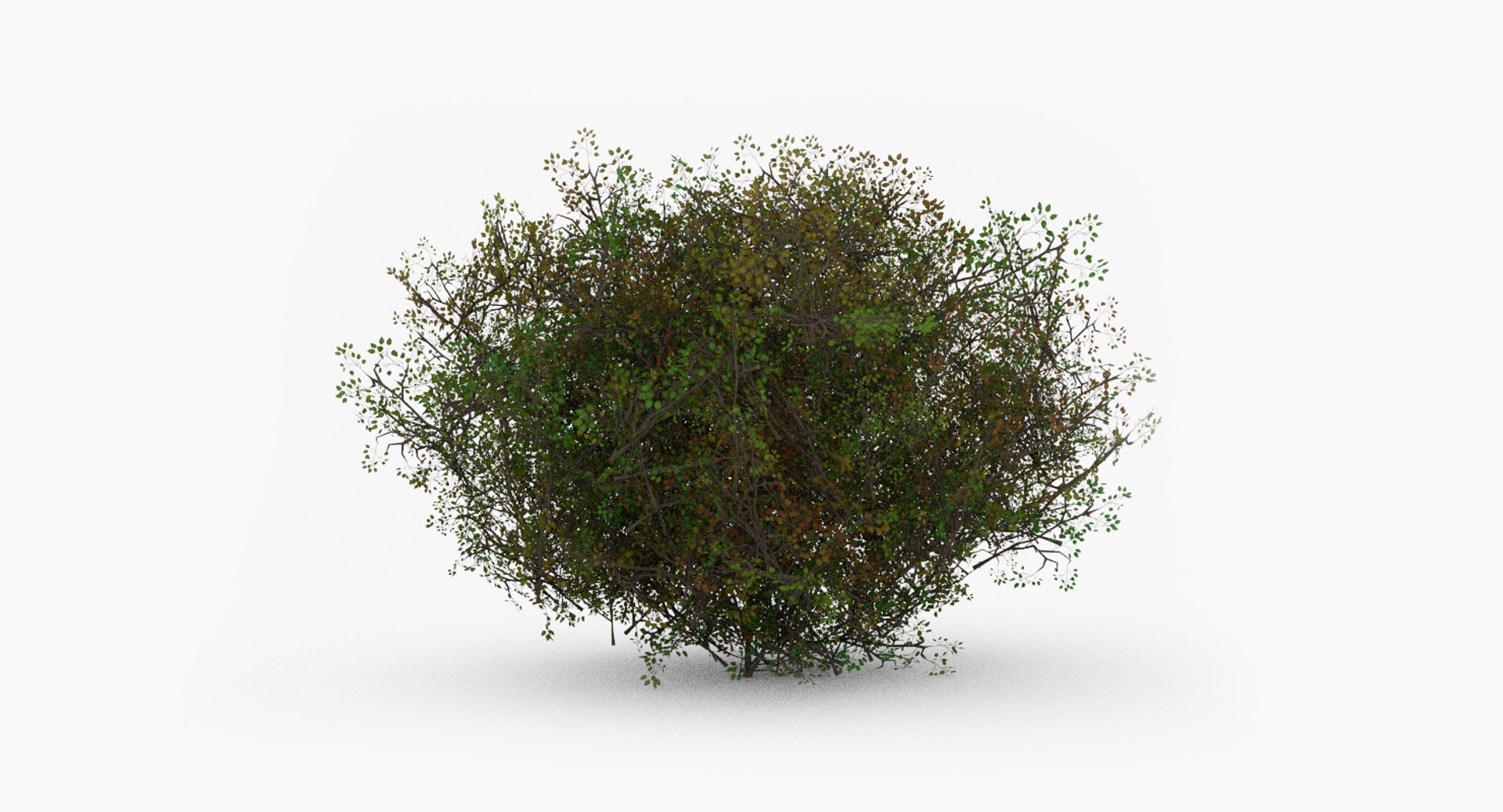 realistic shrub 3d model https://p.turbosquid.com/ts-thumb/lv/KYVYHH/yovGhetc/2/png/1460085156/1920x1080/fit_q87/ef439827cd893bf6289e28645355132985cb7945/2.jpg