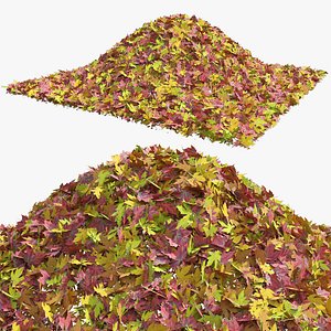 leaf pile of fall trees