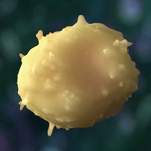 3D Human CD4 T Cell with HIV model