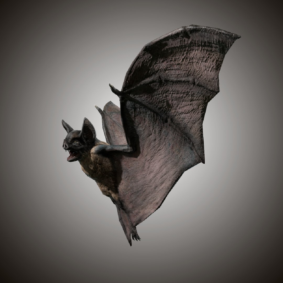 3d model vampire dark bat https://p.turbosquid.com/ts-thumb/lv/VwX4NU/rDVWwoYk/darkbat_preview3/png/1456216515/1920x1080/fit_q87/dfbfdc5e11ea26d7cfbec80b6a3def80a7f35839/darkbat_preview3.jpg