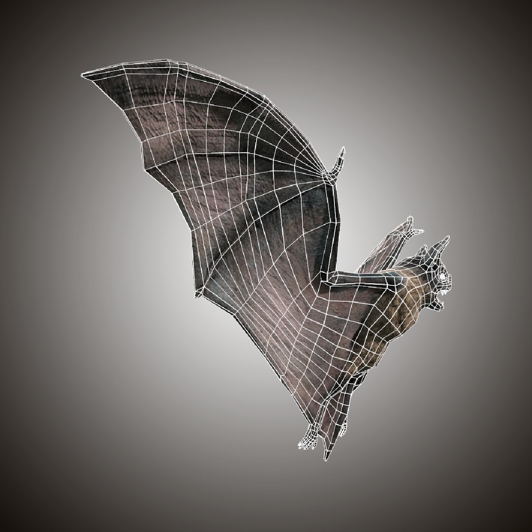 3d model vampire dark bat https://p.turbosquid.com/ts-thumb/lv/VwX4NU/sFtf1aC5/darkbat_preview6/png/1456216515/1920x1080/fit_q87/c29c55992128105d33e637330a898a747a7557b2/darkbat_preview6.jpg