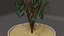 Plante en pot modèle 3D