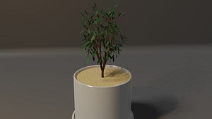3D Potted Plant 3D model model