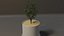 Plante en pot modèle 3D
