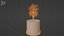 Plante en pot modèle 3D