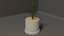 Plante en pot modèle 3D