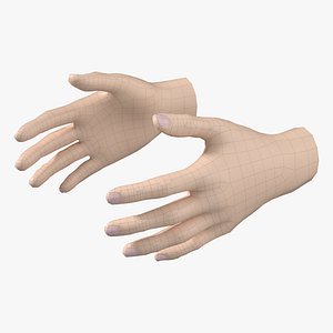 Female Hand Base Mesh 09