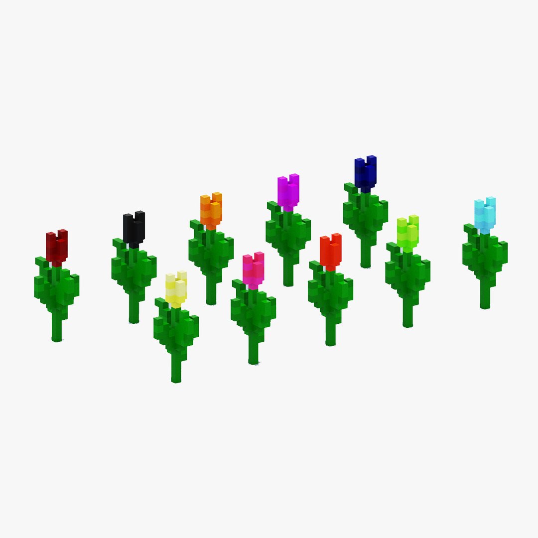 3D model Voxel Tulip https://p.turbosquid.com/ts-thumb/lv/h8dHVm/5p/1/jpg/1653999753/1920x1080/fit_q87/83cae1c5493af5e5c2cf740d9a6e37870f5282f5/1.jpg