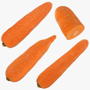carrot set 3D model