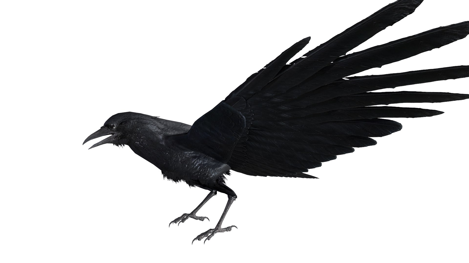 Crow Animated 3D Model - TurboSquid 1927643