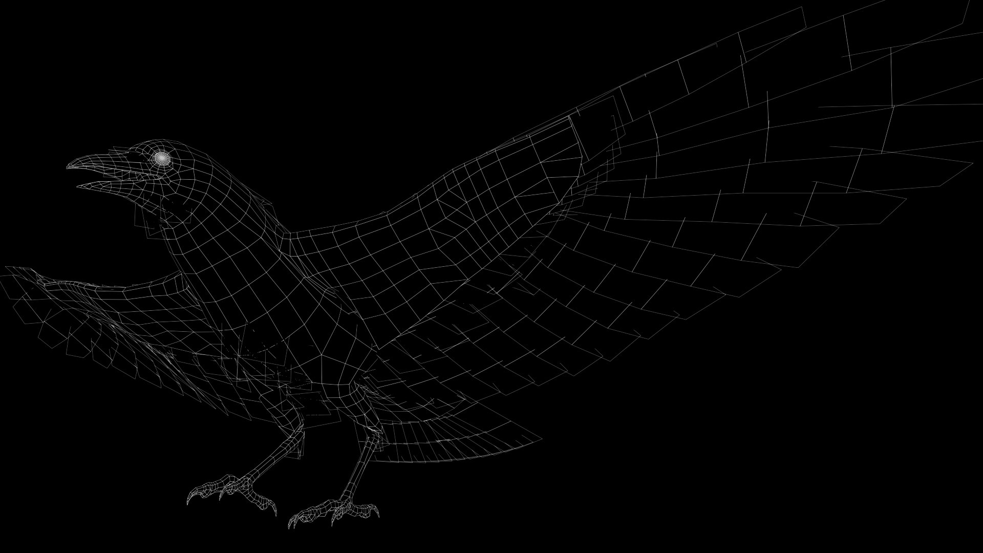 Crow Animated 3D Model - TurboSquid 1927643