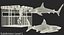 Shark Cage Diving Rigged