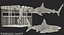 Shark Cage Diving Rigged