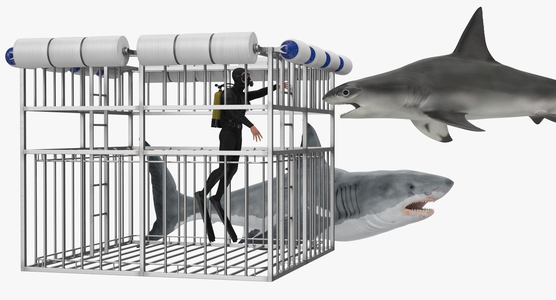 shark cage diving rigged 3D https://p.turbosquid.com/ts-thumb/lv/nSWTJA/Vm1OmE3s/sharkcagedivingrigged3dsmodel003/jpg/1551732277/1920x1080/fit_q87/3dc46ea1222e5e13a89e05370e6a933eab4599f4/sharkcagedivingrigged3dsmodel003.jpg