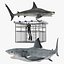 Shark Cage Diving Rigged