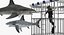 Shark Cage Diving Rigged