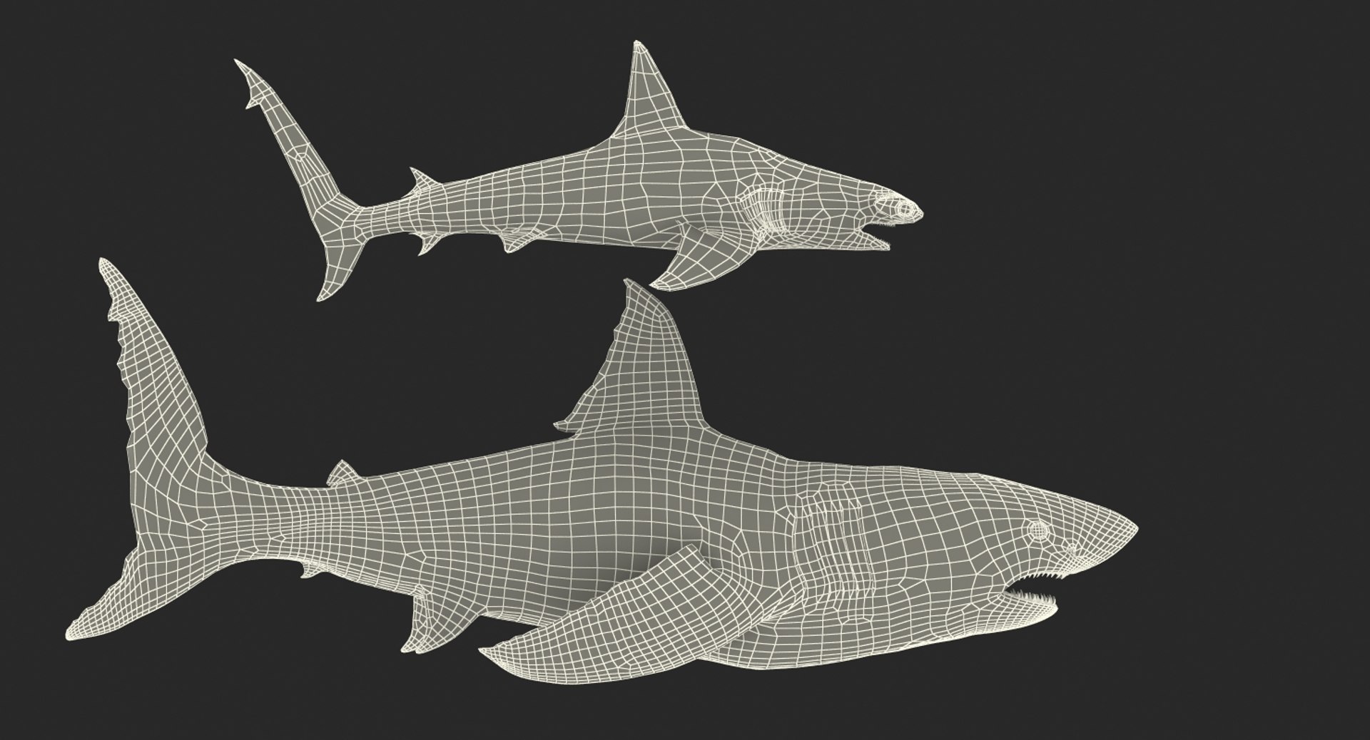 shark cage diving rigged 3D https://p.turbosquid.com/ts-thumb/lv/nSWTJA/jWBCDsrZ/sharkcagedivingrigged3dsmodel023/jpg/1551732355/1920x1080/fit_q87/03df5c7d89f52019f4040e3e65e558c30e5b640c/sharkcagedivingrigged3dsmodel023.jpg