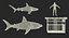 Shark Cage Diving Rigged