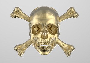 3D skull