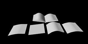 Open Book Paper Pieces untextured