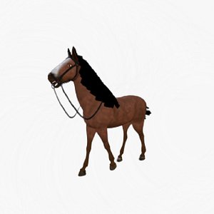 Horse AXL IT model
