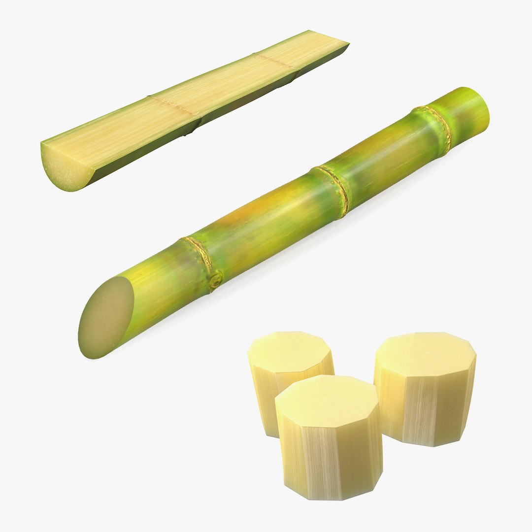 Sugarcane Collection 3D model preview