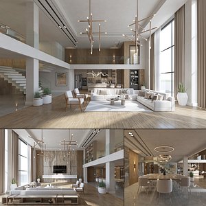 Luxury Modern Loft Villa Interior