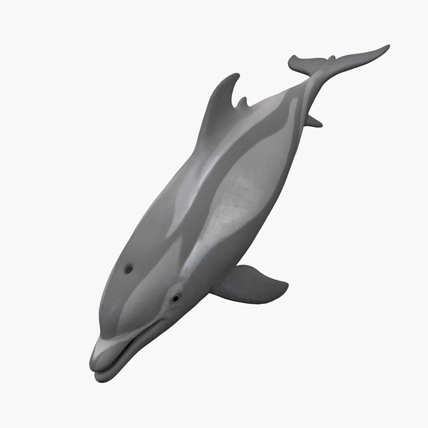 Dolphin 3D model