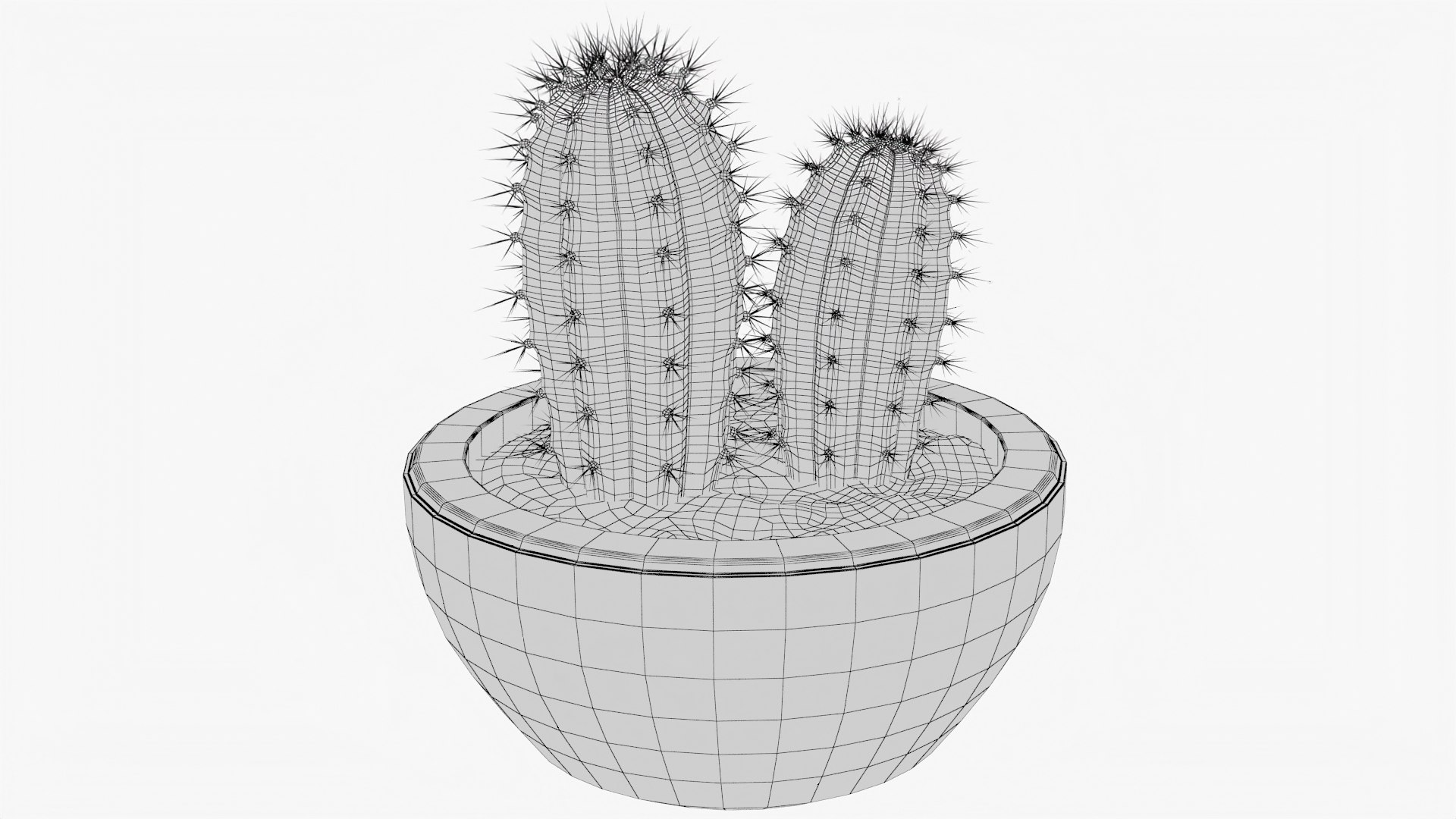 Cactus 04 E Model - TurboSquid 1987467
