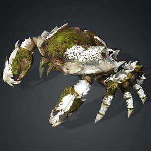 3D Crab-V3 model