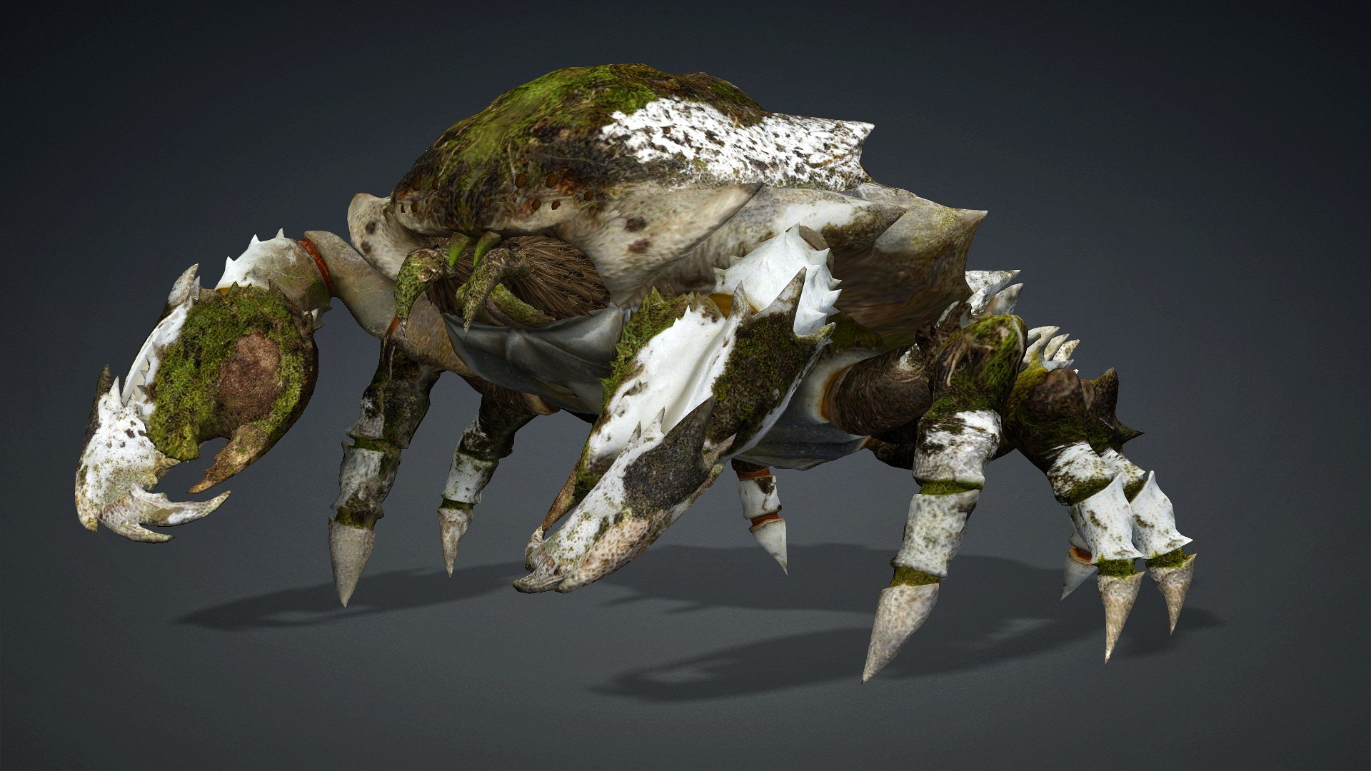 3D Crab-V3 model https://p.turbosquid.com/ts-thumb/lw/J3jsI7/hJ/preview1/jpg/1767859878/1920x1080/fit_q87/57feec4883fc231f82c1de41f5eb1b59e04619ca/preview1.jpg