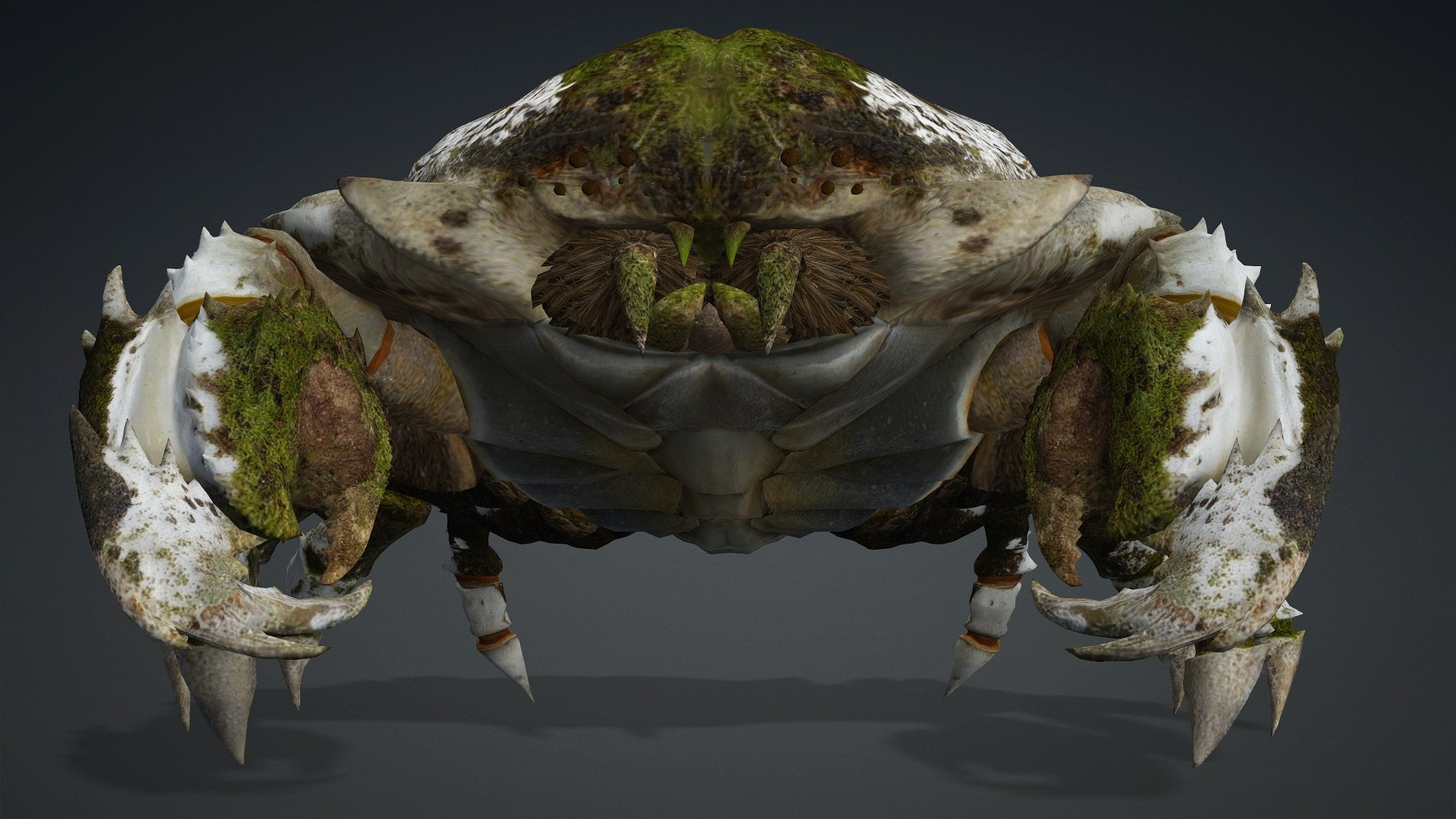 3D Crab-V3 model https://p.turbosquid.com/ts-thumb/lw/J3jsI7/xh/preview2/jpg/1767859877/1920x1080/fit_q87/ded33ed97bbd4c72345f6ca6d75c06feb0774f08/preview2.jpg