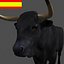 3d spanish bull