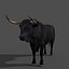 3d spanish bull