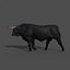 3d spanish bull