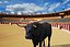 3d spanish bull