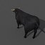 3d spanish bull
