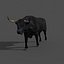 3d spanish bull
