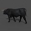 3d spanish bull