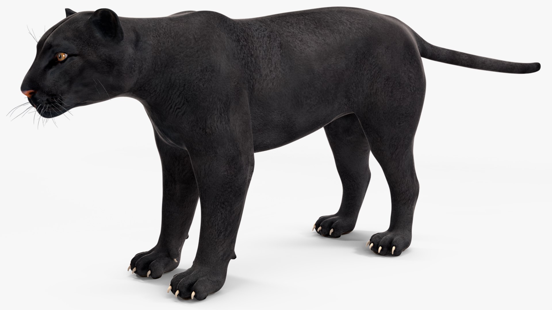 Black Panther Rigged for Maya 3D model https://p.turbosquid.com/ts-thumb/lw/SvWRPU/2Q/blackpantherriggedformaya3dmodel018/jpg/1720552122/1920x1080/fit_q87/6408b09c92d6a01e7d9c547fbe949808a3040dc9/blackpantherriggedformaya3dmodel018.jpg