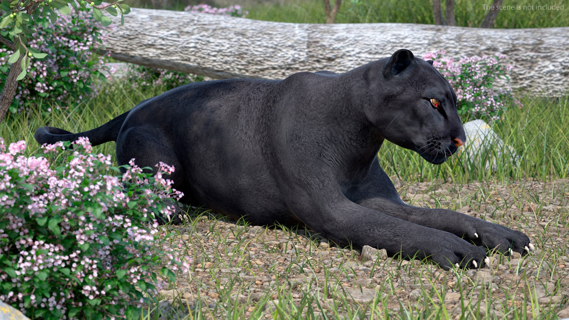 Black Panther Rigged for Maya 3D model https://p.turbosquid.com/ts-thumb/lw/SvWRPU/3h/blackpantherriggedformaya3dmodel005/jpg/1720552059/1920x1080/fit_q87/97c3639607ed93c484890f8a0ca5181cf1006290/blackpantherriggedformaya3dmodel005.jpg