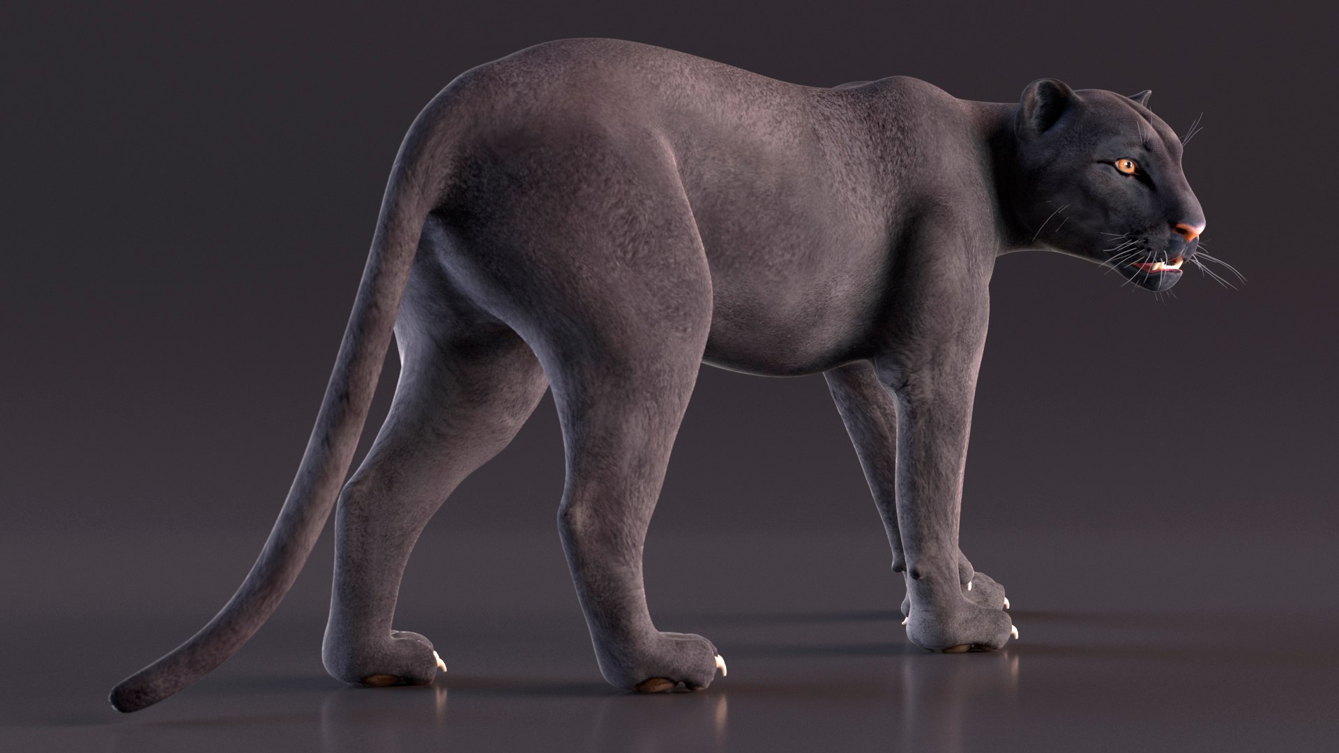 Black Panther Rigged for Maya 3D model https://p.turbosquid.com/ts-thumb/lw/SvWRPU/9K/blackpantherriggedformaya3dmodel014/jpg/1720552106/1920x1080/fit_q87/0b6389c0bacc56919254dc9dad4261c0bfc444bd/blackpantherriggedformaya3dmodel014.jpg