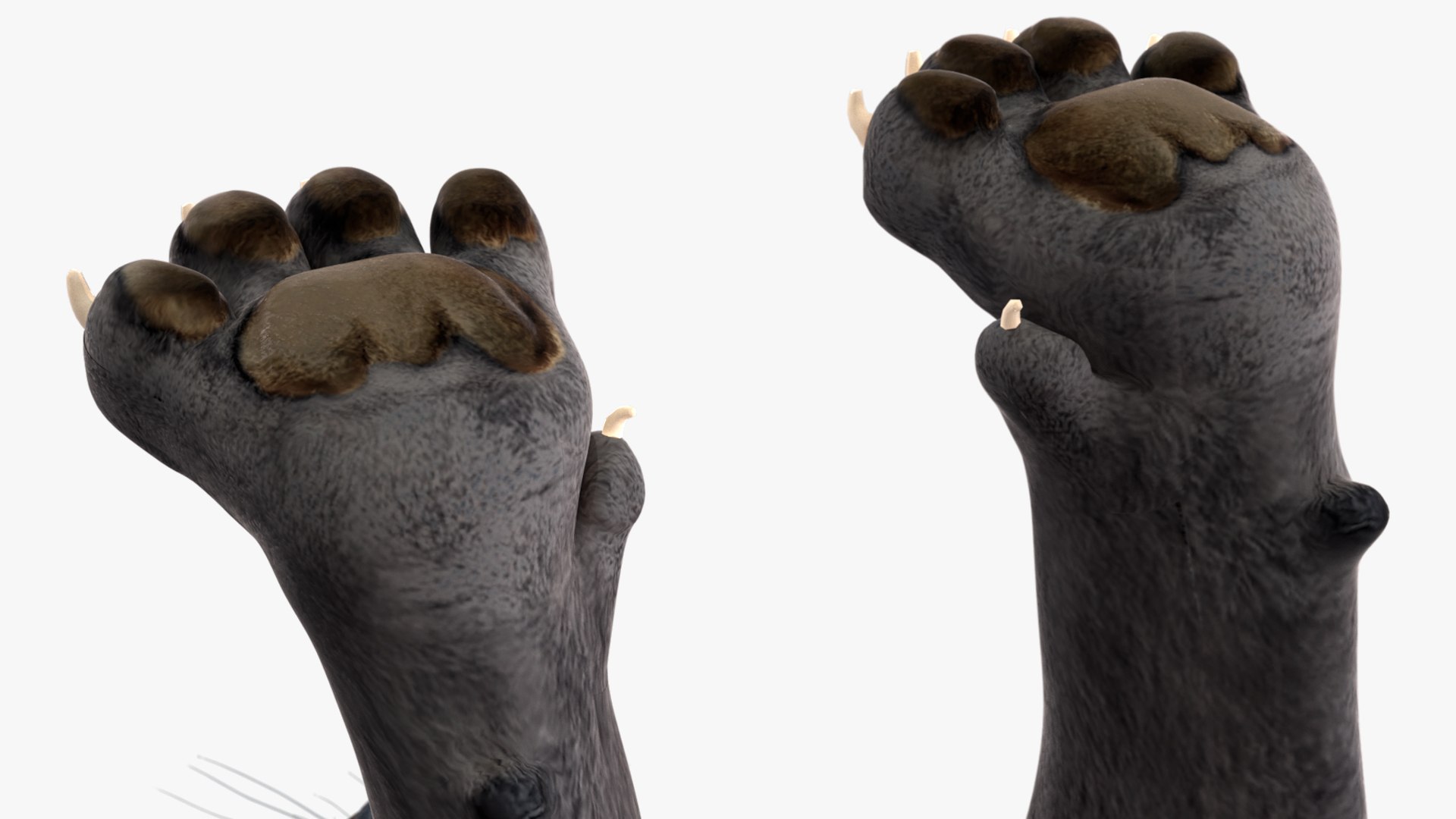 Black Panther Rigged for Maya 3D model https://p.turbosquid.com/ts-thumb/lw/SvWRPU/M3/blackpantherriggedformaya3dmodel029/jpg/1720552166/1920x1080/fit_q87/e55c60005a67ff1ae62d2224748913d7ad6f4429/blackpantherriggedformaya3dmodel029.jpg