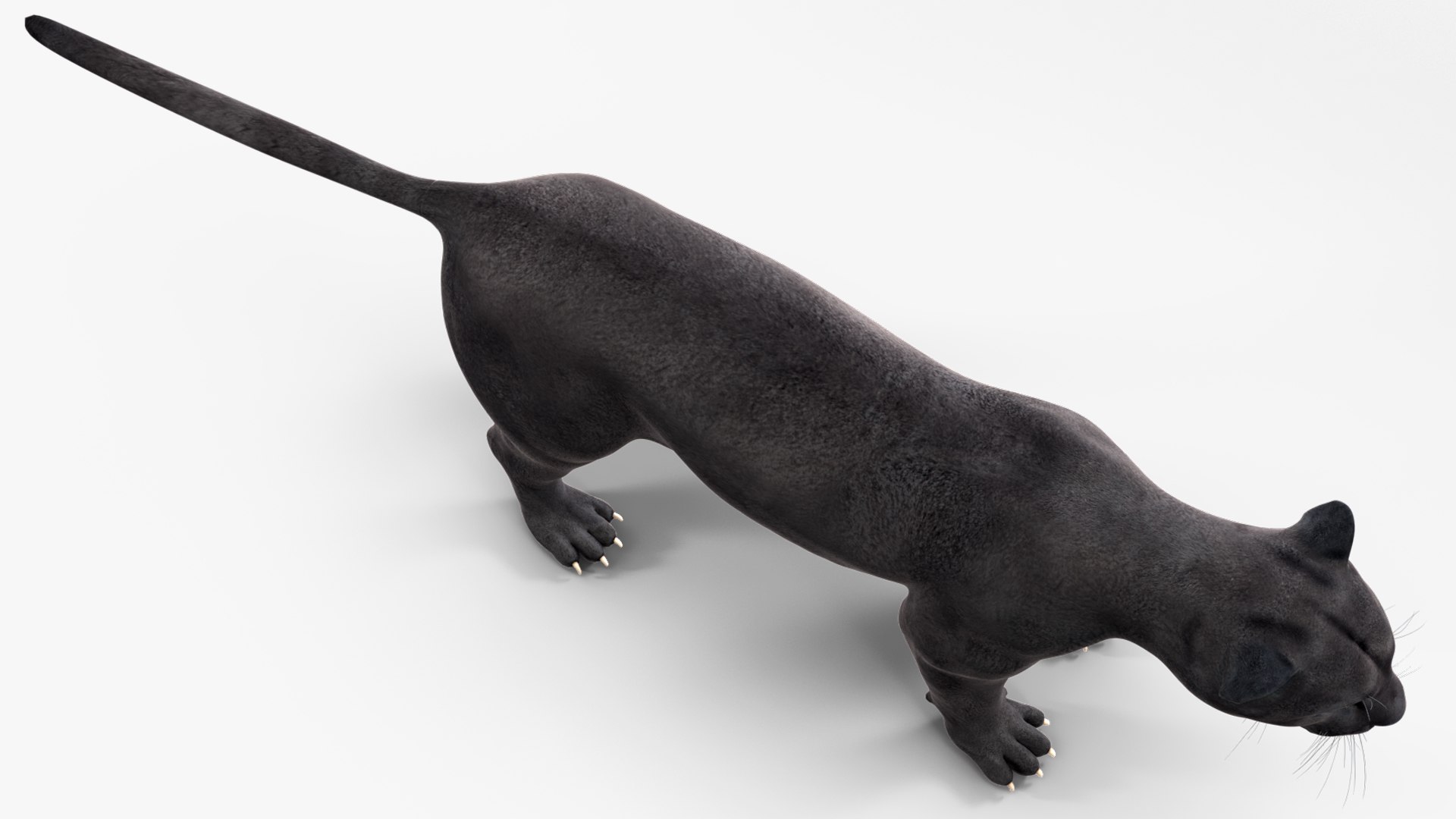 Black Panther Rigged for Maya 3D model https://p.turbosquid.com/ts-thumb/lw/SvWRPU/QX/blackpantherriggedformaya3dmodel026/jpg/1720552153/1920x1080/fit_q87/d79b5a9cb0c8739c73c0cc316ef14f3e08870d81/blackpantherriggedformaya3dmodel026.jpg