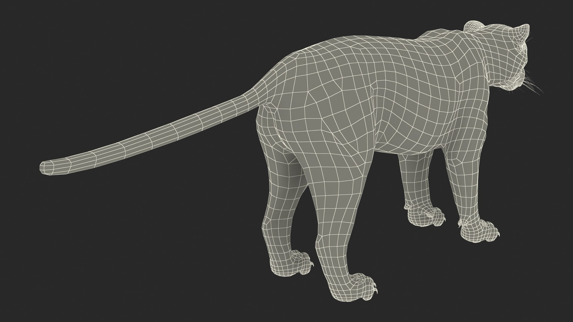 Black Panther Rigged for Maya 3D model https://p.turbosquid.com/ts-thumb/lw/SvWRPU/Ry/blackpantherriggedformaya3dmodel050/jpg/1720552247/1920x1080/fit_q87/9229466376567dbd251a8f7a56c4deb589567a90/blackpantherriggedformaya3dmodel050.jpg